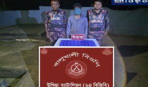 উখিয়ায় ৬০ হাজার পিচ ইয়াবাসহ আটক ১