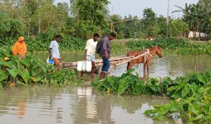 কমছে প্রধান নদ-নদীর পানি; বাড়ছে তিস্তার প্রবাহ
